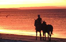 Beach-ride-racing.jpg
