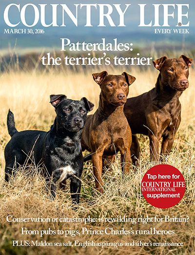 Country Life March 30 2016