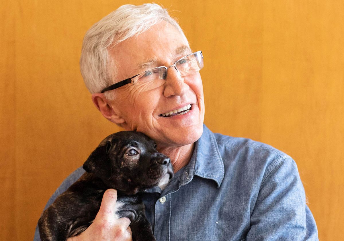 Paul O’Grady: For the Love of Dogs