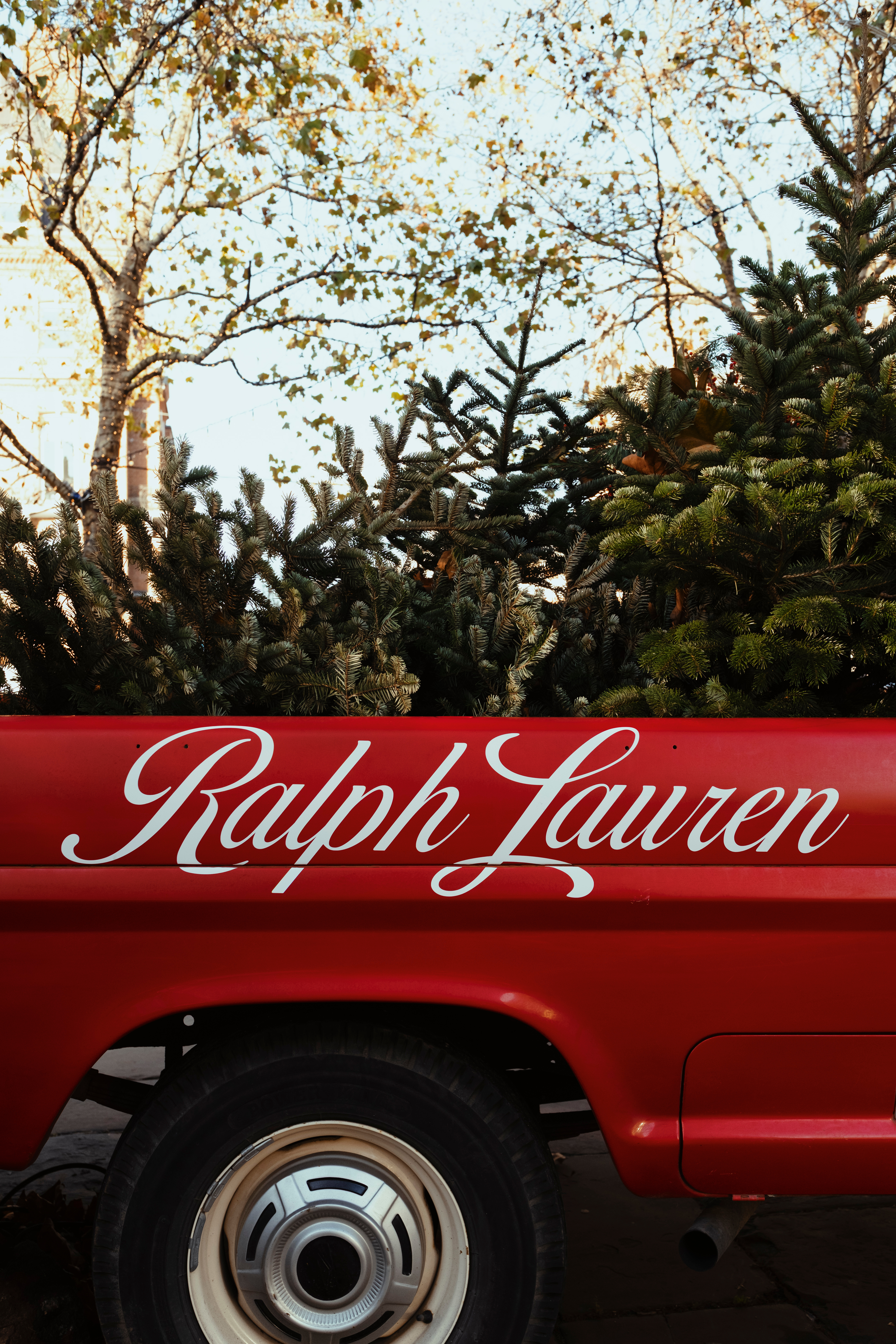 Christmas shop windows