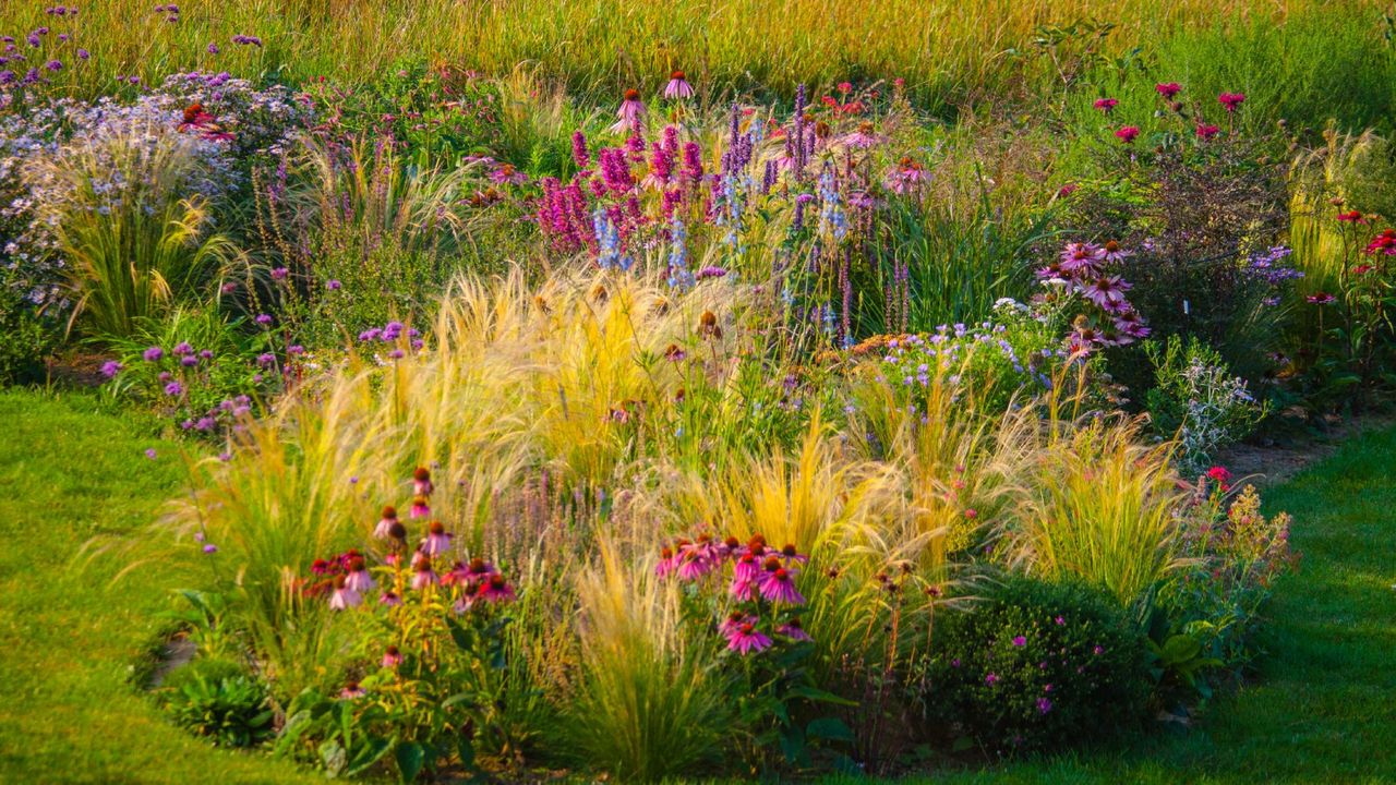 Flowers and ornamental grass growing in a circular bed