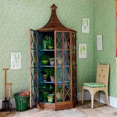 hallway with green designed wall glazed cabinet with potted plant