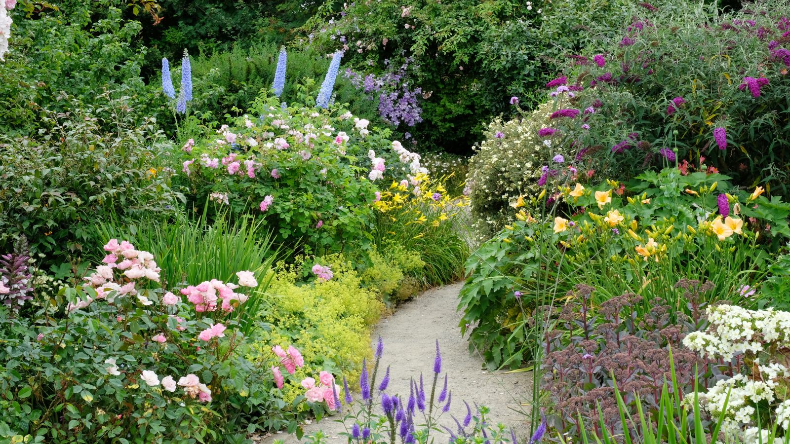 A richly planted flower garden in high summer containing delphiniums, buddleia and roses.