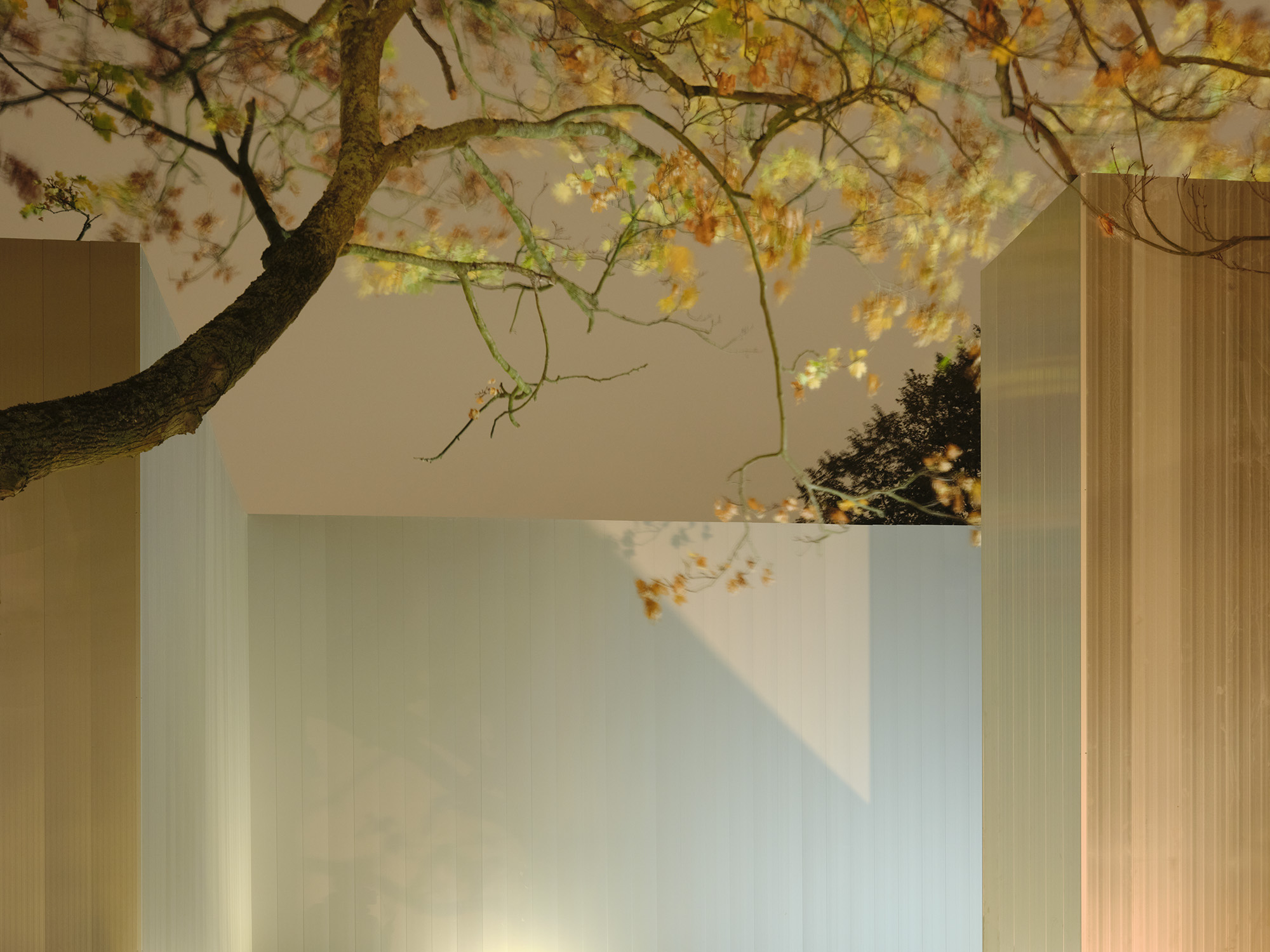 Frieze entrance pavilions exterior in London 2025 seen in golden light and fallen autumn leaves