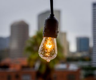 A rain drop on an outside light bulb, downtown Oakland