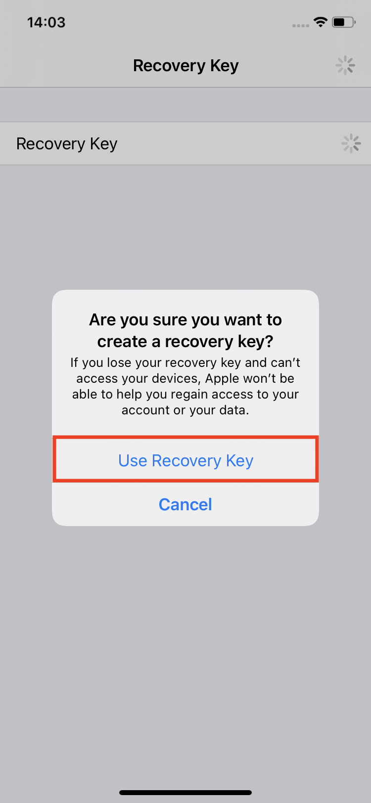 Как настроить ключ восстановления Apple ID на iPhone или iPad