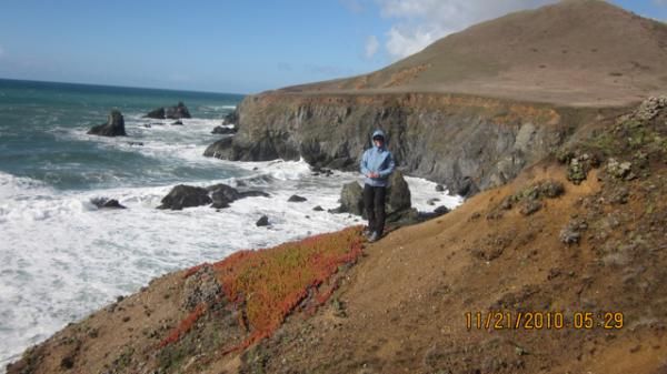 Hiking at Goat Rock in Sonoma, California