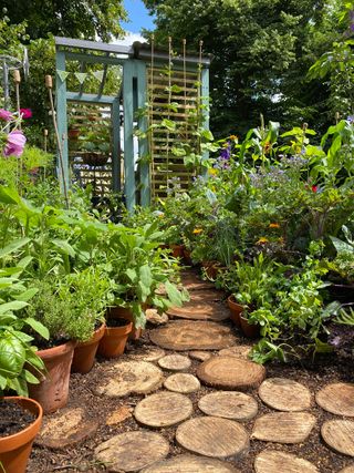 log pathway in 'Friends of Ascot' allotment at RHS hampton court garden festival 2021