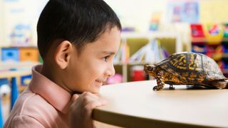 best first pets for children