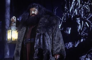 Robbie Coltrane as Hagrid in Harry Potter