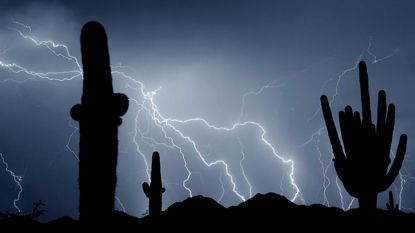 picture of lightning in desert sky with cactus in the foreground