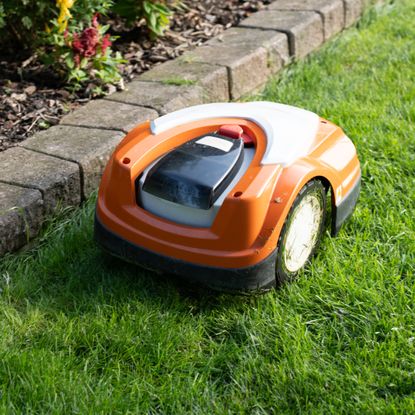 Robot lawn mower cutting grass along garden border