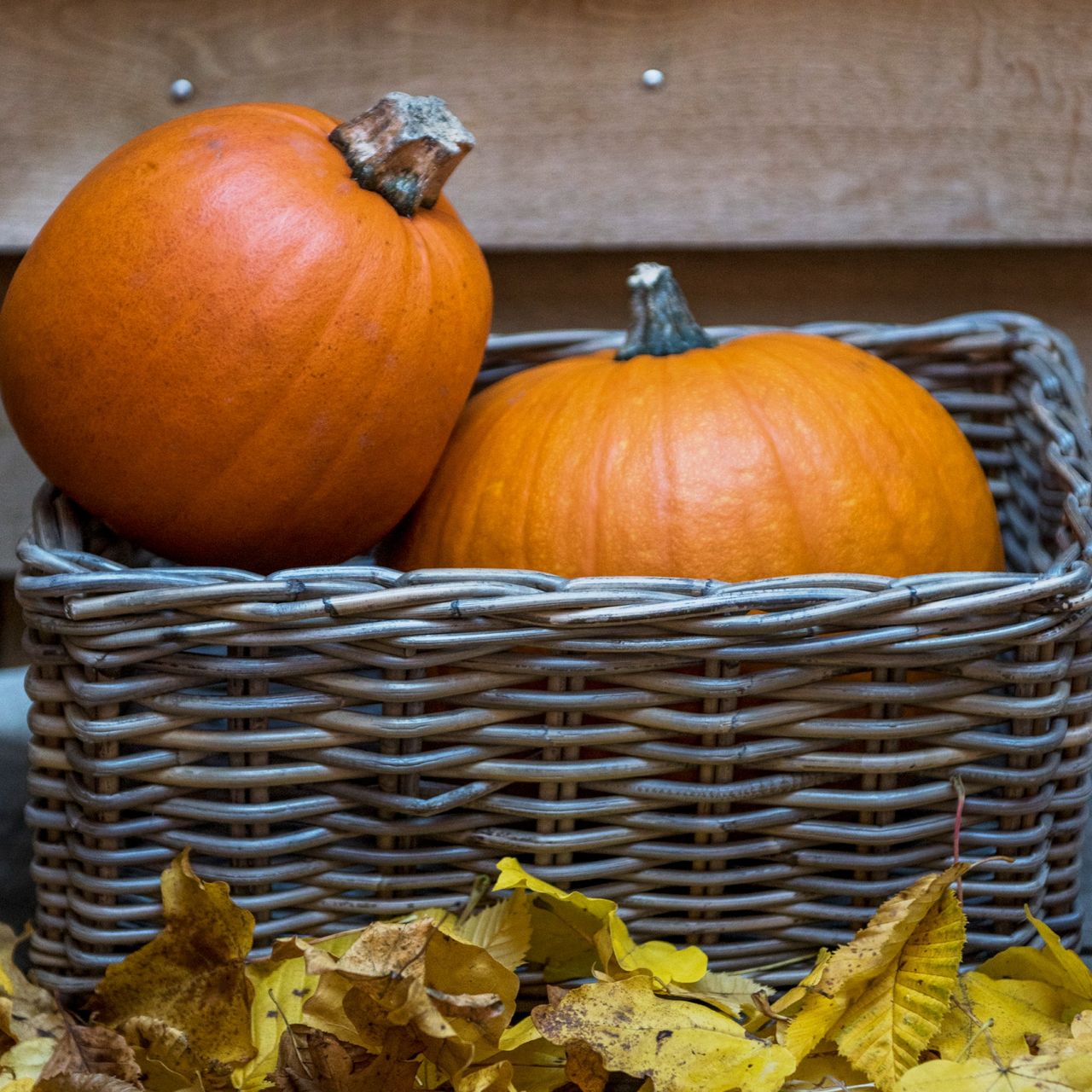 Why Is My Pumpkin Not Growing It Might Be Your Own Mistake Ideal Home why-is-my-pumpkin-not-growing-it-might-be-your-own-mistake-ideal-home