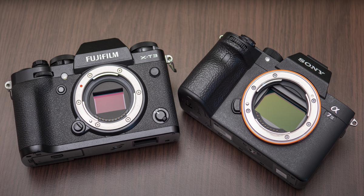 fuji or sony mirrorless