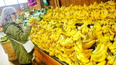 A woman shops for bananas at a grocery store in Norwalk, Connecticut.