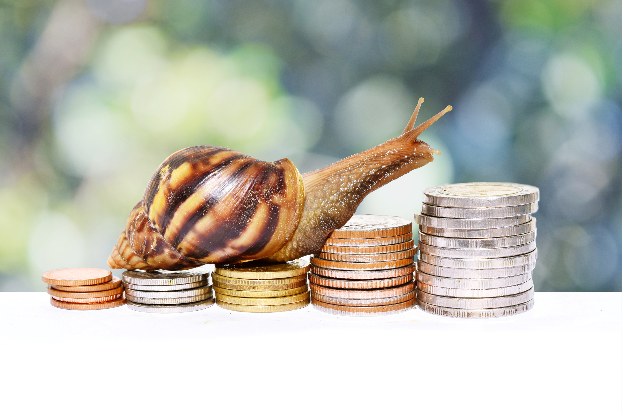 Snail climbing a pile of coins symbolising stagflation (slow growth and rising inflation)