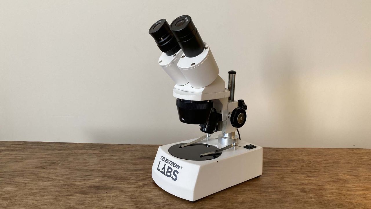 microscope on a table
