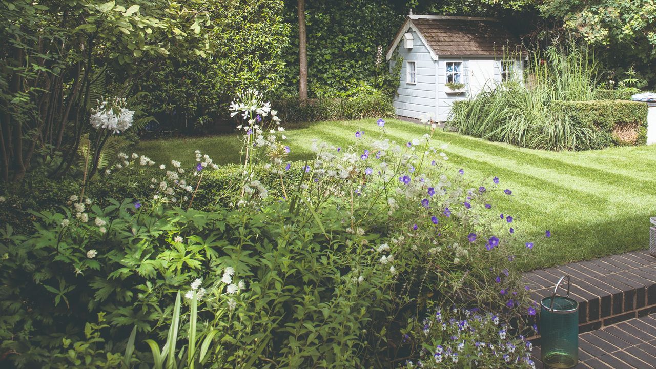 A garden with a garden shed