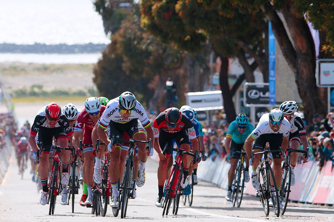world champion Peter Sagan takes the stage win