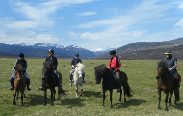 MarLodgeHorses