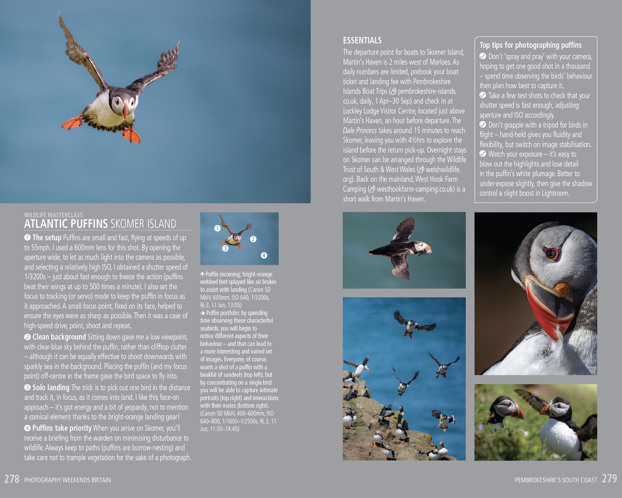 Photo of pages 278-279 from Photography Weekends Britain by William Gray, a wildlife masterclass about photographing puffins. The book is published by Bradt Guides and is on sale now.