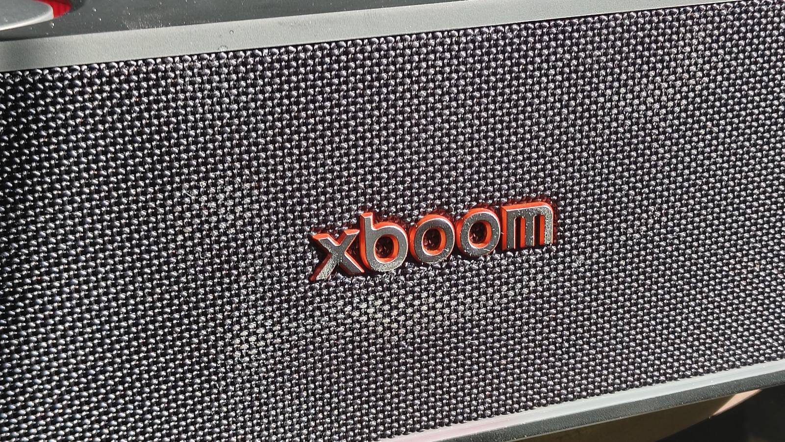 The LG xboom Bounce by a leafy plant on a shelf.