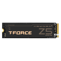 Team Group T-Force Z540PC Gamer score: 77%