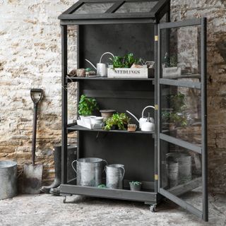 a small freestanding black greenhouse standing in front of a brick wall, containing seedlings and an assortment of gardening items