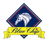 Blue Chip logo