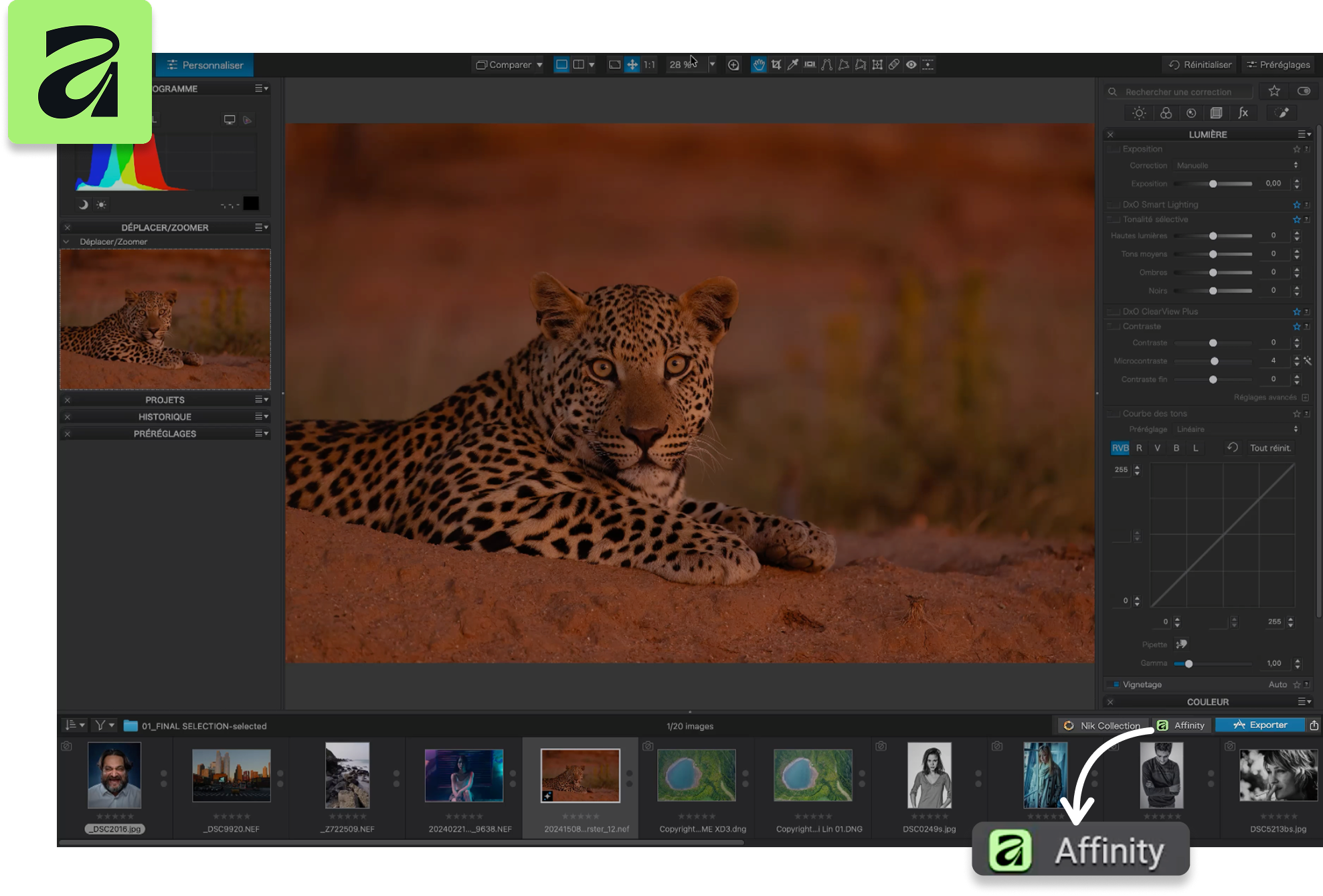 DxO PhotoLab 10 screen shot showing Affinity button with photo of leopard on screen