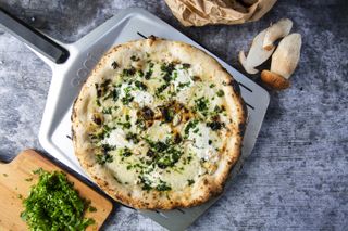 Porcini mushroom and cheese pizza