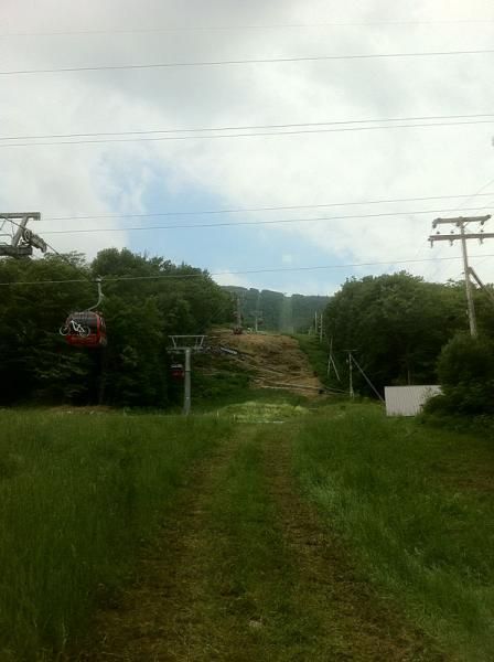A look up to a climbing portion of the cross country course
