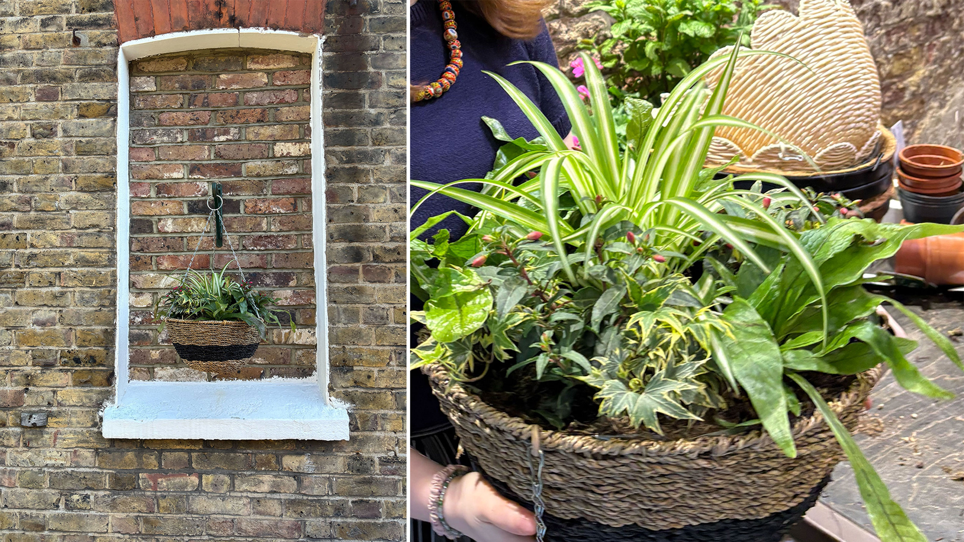 Hanging basket infront of a brick wall