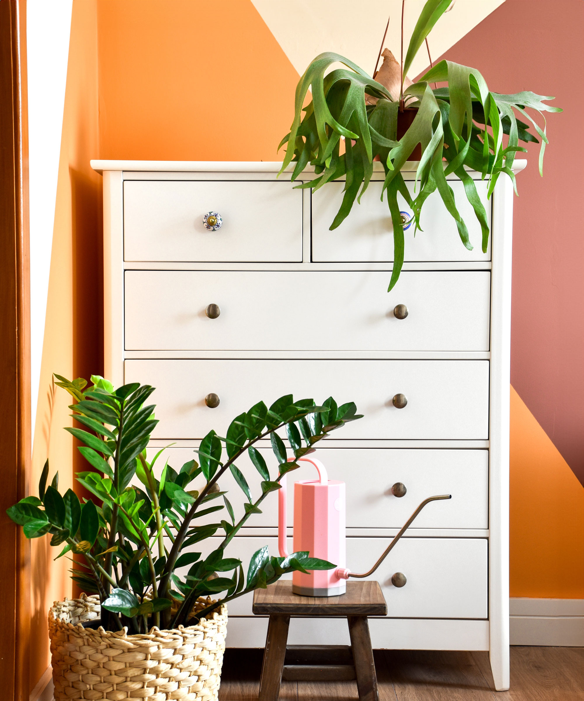 staghorn fern in hanging basket in orange room with white cabinet