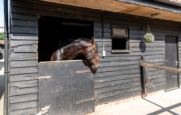 Lodge Farm.Little Henny-45