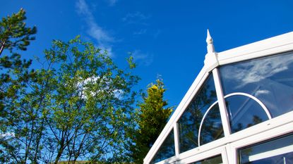 shot of a conservatory with lovely blue skies and green trees