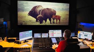 Postproduction of audio in natural history programming creates serious challenges that we have been able to overcome with a variety of Avid editing and production tools. 