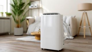 Dehumidifier in middle of living room on wooden floor with plant and furniture in background