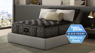 Beautyrest Black mattress