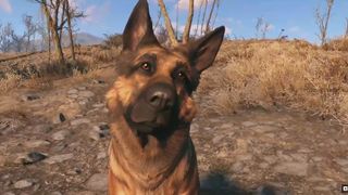 Fallout 4 dogmeat