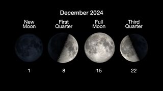 four moon phases left to right are new moon on december 1, first quarter moon on december 8, full moon on december 15 and third quarter moon on december 22.