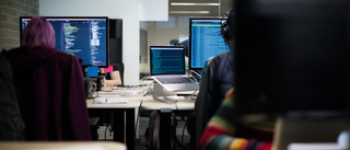 Three people in an office working on computers