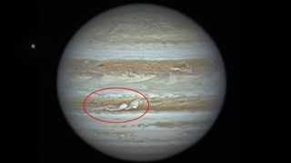 A photo of Jupiter with two white storms (circled) in one of the planet&#039;s large brown bands