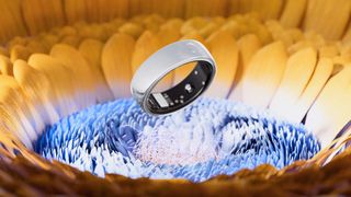 A press photo of the silver Circular Ring 2 floating above a flower bud