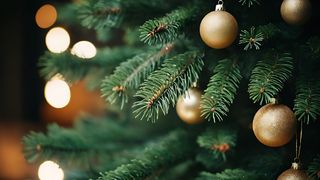 Close up of Christmas tree with gold baubles