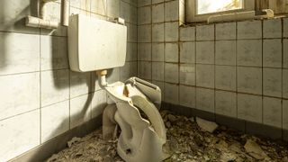 bathroom renovation with smashed toilet