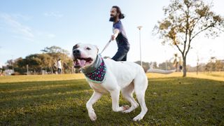 Dog pulling owner on their leash in the park