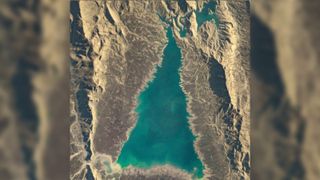 A satellite photo of a triangular lake with algal blooms