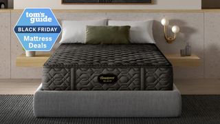 The image shows the Beautyrest Black mattress on a grey bed foundation in a stylish bedroom