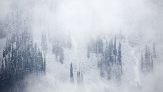 View of foggy snowy forest on mountains side near Kamloops